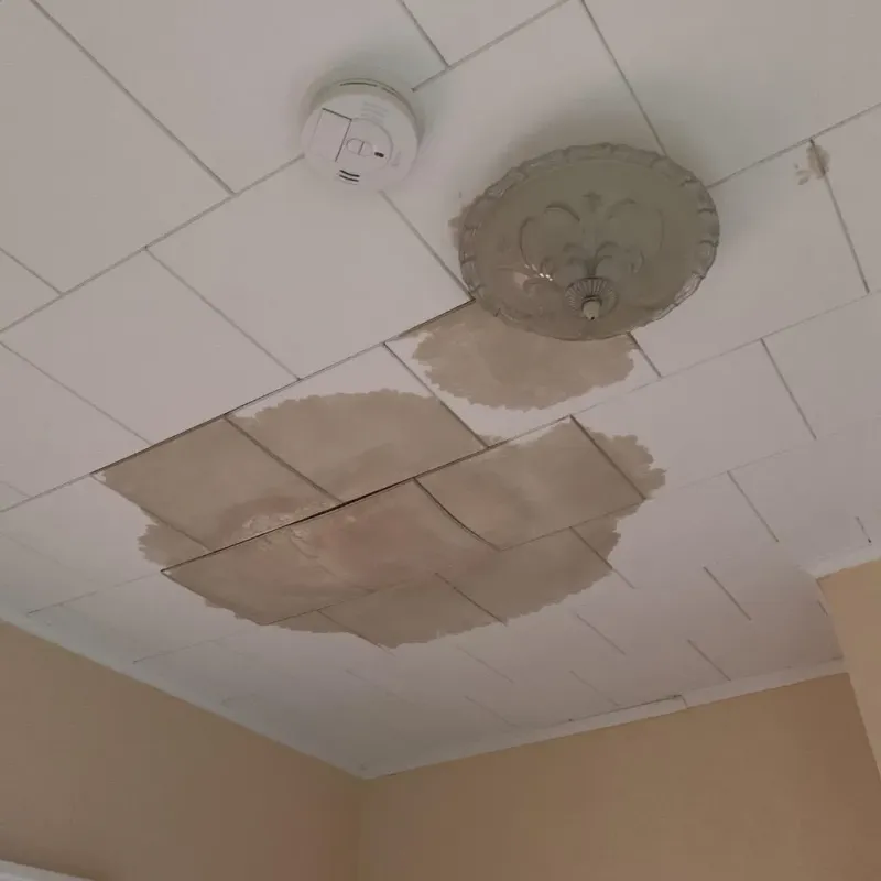 Ceiling Water Damage Repair in Rehoboth Beach, DE